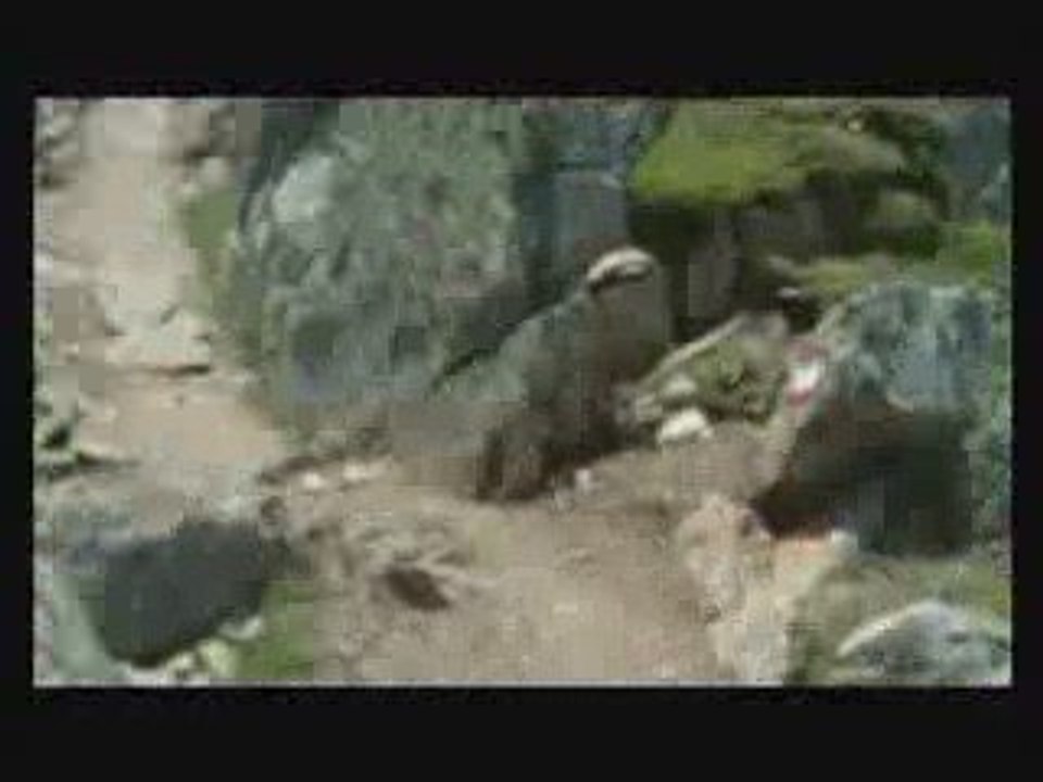 Descente en VTT du glacier de Sölden (Autriche) vers Sölden