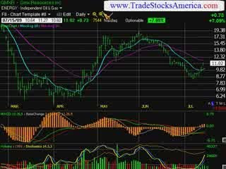 stock market trading newsletter