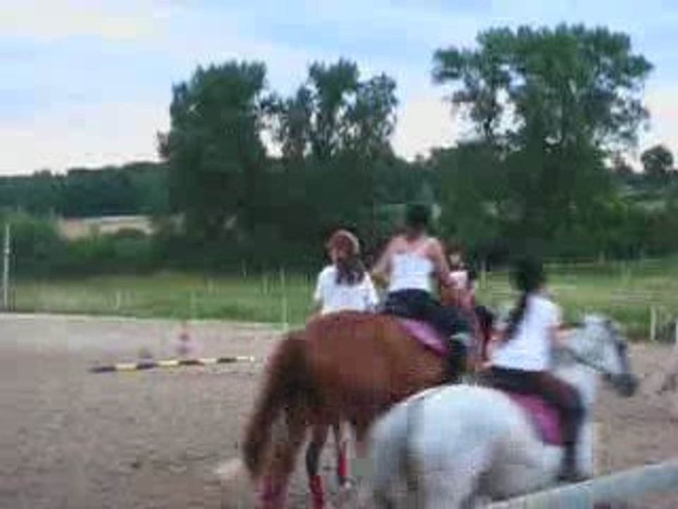 Horse Ball