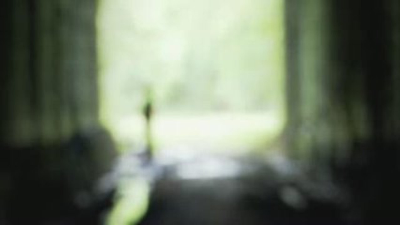Ghost Adventures Live - The Ghost Of Lilly
