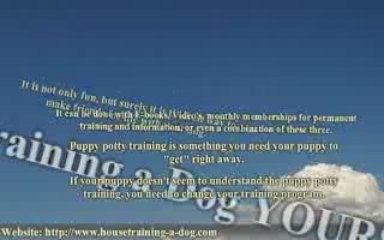 How to House Train a Dog Yourself (And You and Your Dog Will