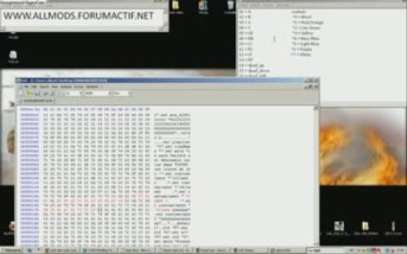 modding cod4&5 class colorer