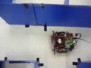 cut starttoexit33333