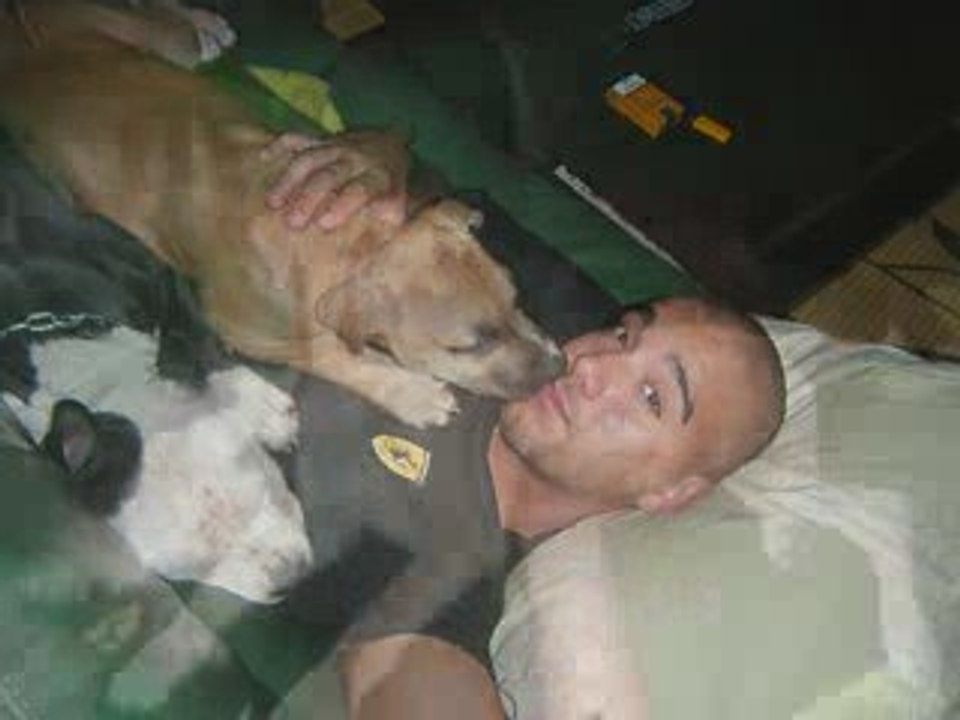 video amstaff nos bébés perla eros