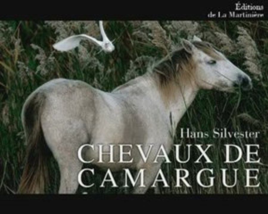 Chevaux de Camargue - Hans Silvester