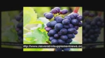 resveratrol capsules