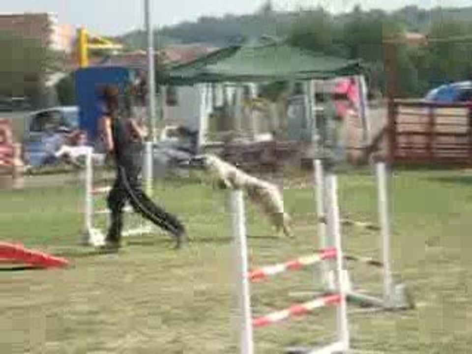 maybe st juery 2009   delattre