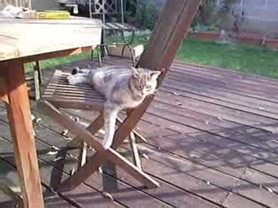 pif! paf! boum badaboum !!