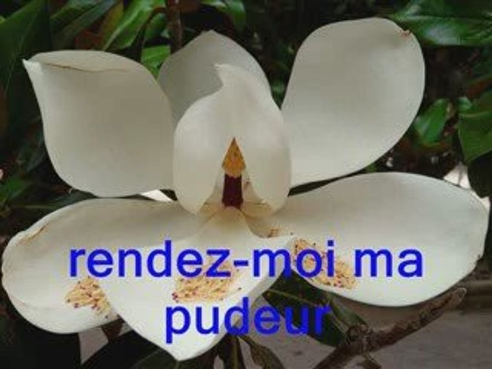 RENDEZ-MOI MA PUDEUR....