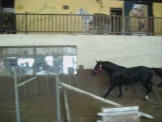 Primeiro de Montfort: História e Legado