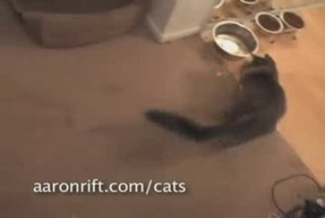 chat vs laser humour