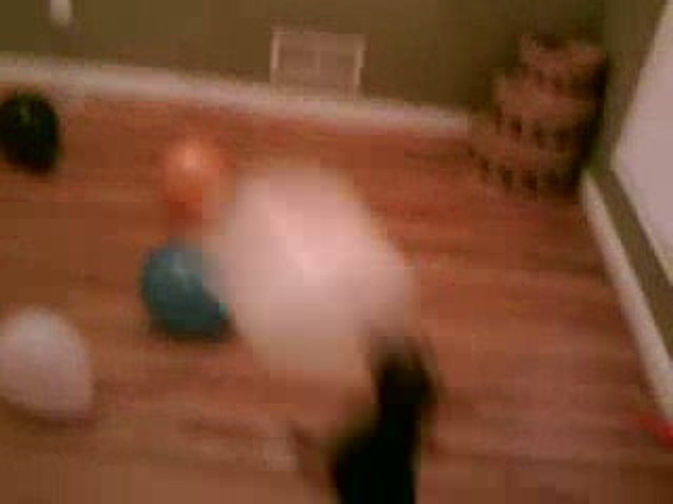 Un chien qui adore les ballons humour