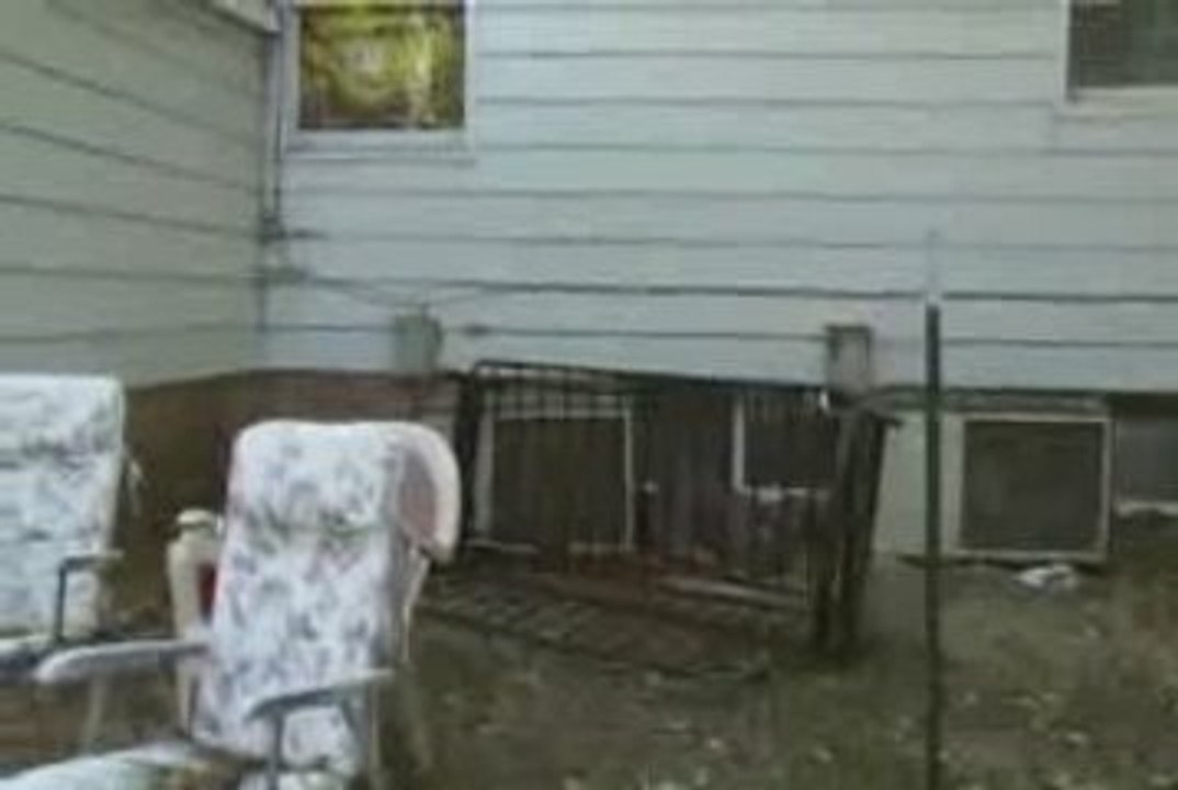 Regis sort un banc par sa vitre