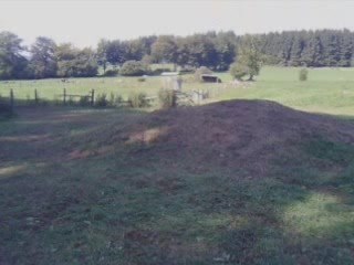 Yamaha Warior 350 Jum