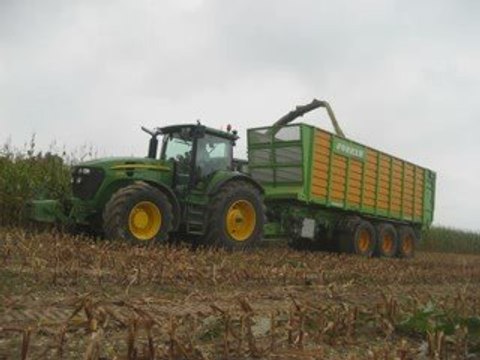Evrard à l'ensilage de maïs 09