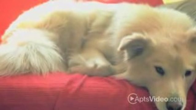 ForRent.com Monterey Springs Apartments in Happy Valley, OR