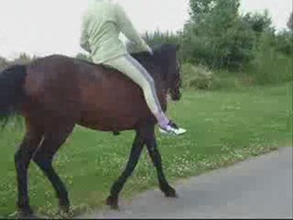 SansTitre_0002