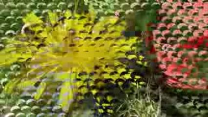le Grand Arvet aux couleurs d'automne