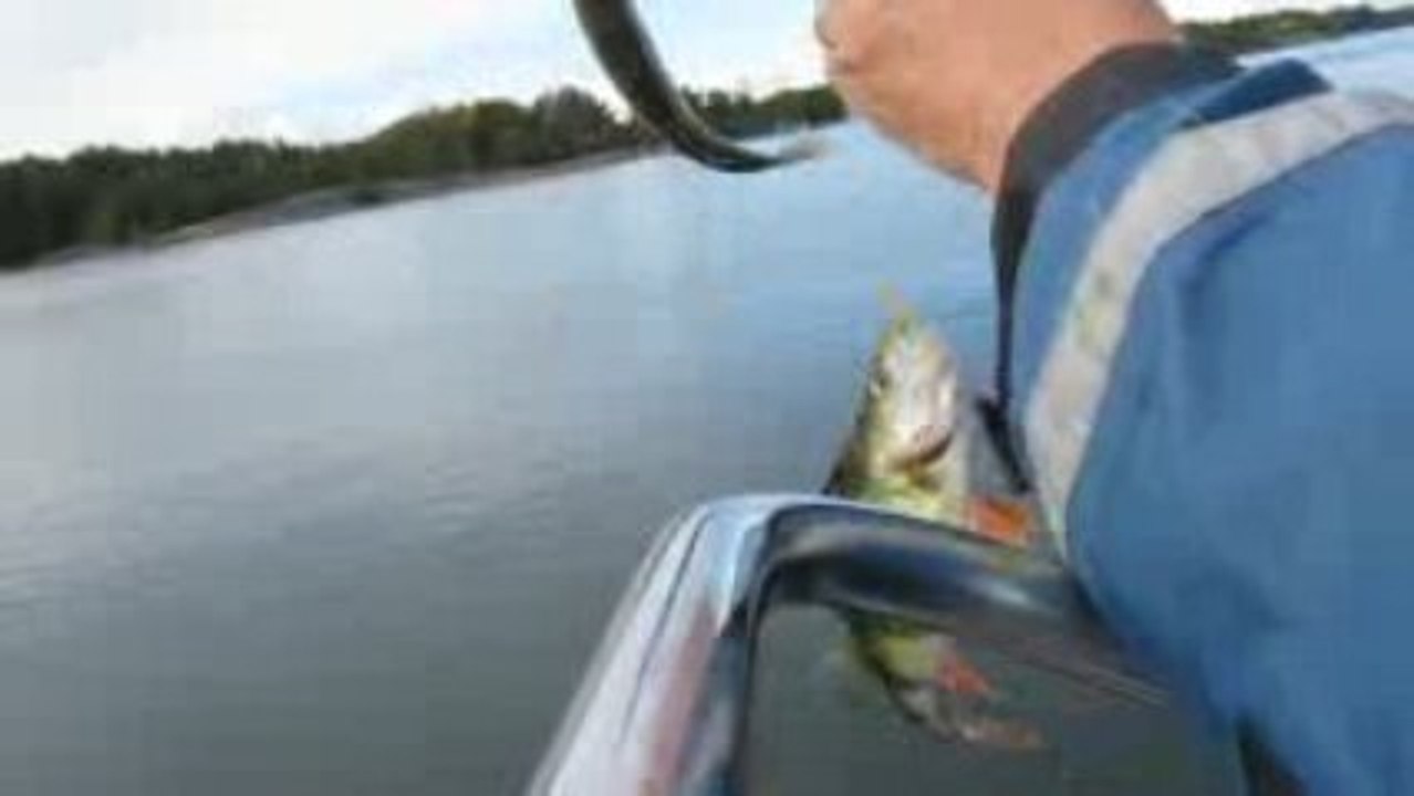 BALIK AVIM 01.10.2009 002