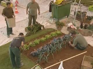 les floralies du pas du pas de calais