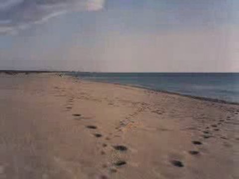 Dj Murat Feat Enis Bugün Senin Doğum Günün