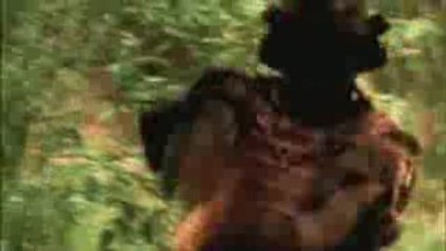 Tamarat Makonnen * Dreams and Shadows * BottleRock Media