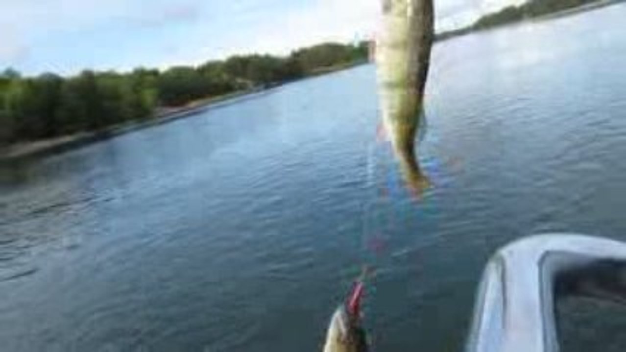 BALIK AVIM 01.10.2009 003