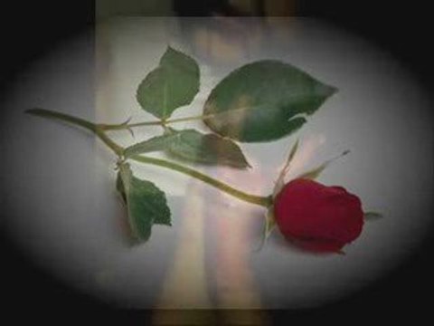 Dj Emos Vs Mehmet Murat Ft Burak Utaniyorum Senden