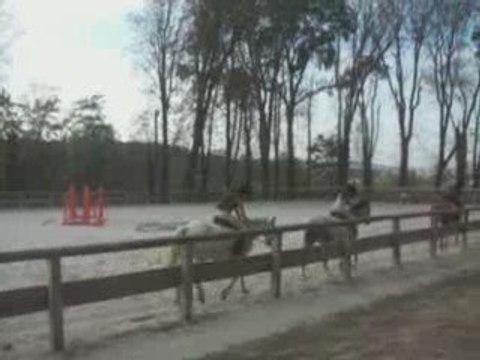 Nike Mon Amour de Poney .... [ Poney Gris ]