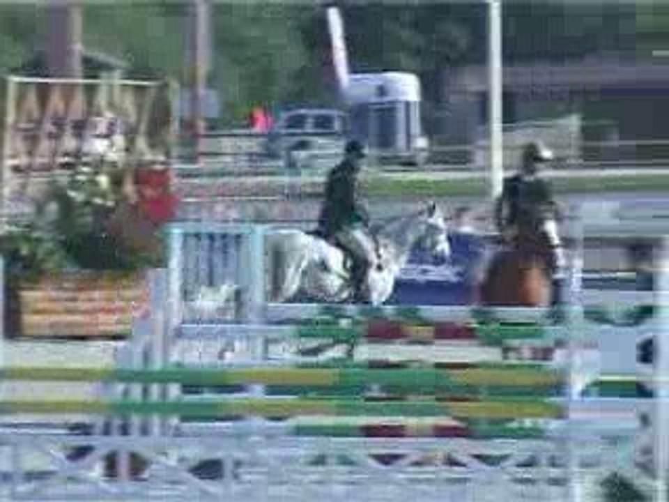 Punch du Mesnil SolognPony2009 2è jour des qualifs