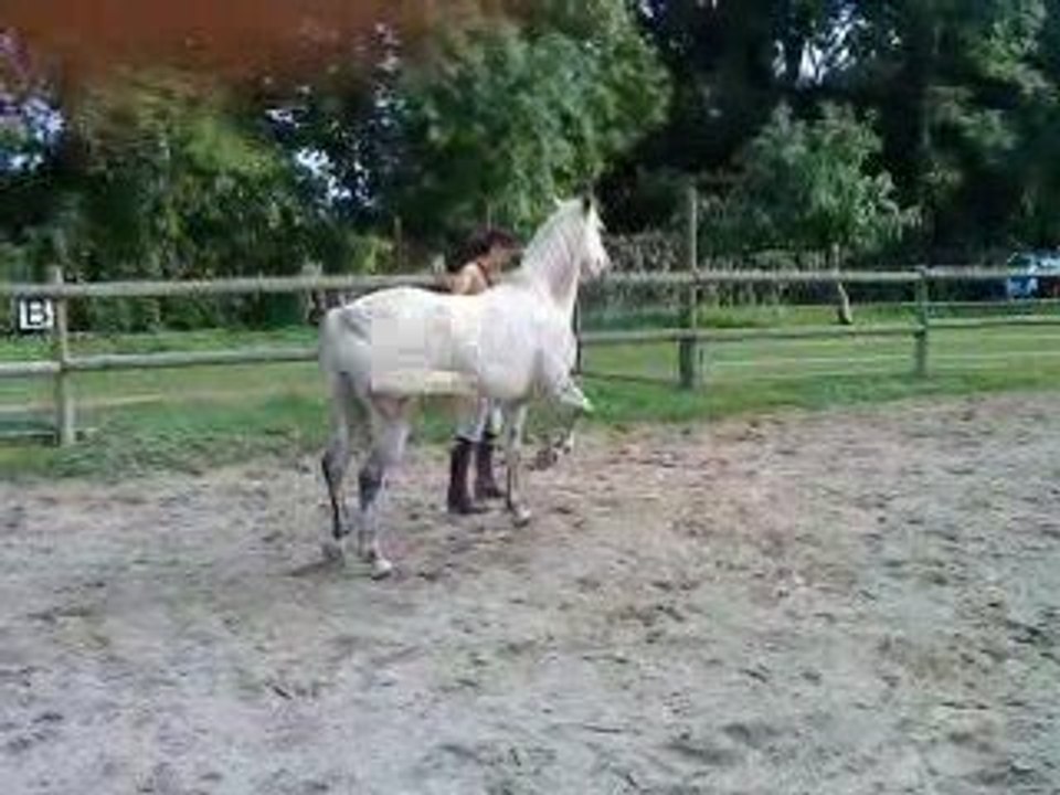 début trot espagnol