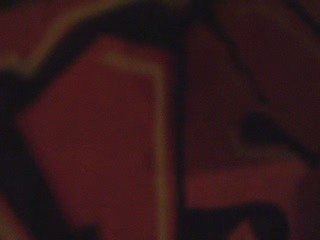 Chante beau merle, ta cage est belle ...