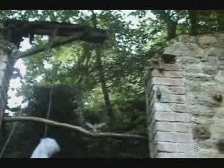 Fête des Sens 2009 - Tetard Transmission