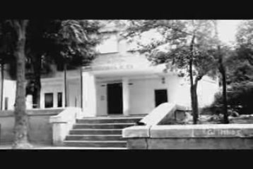 Adrenaline 2 Walter Trickers