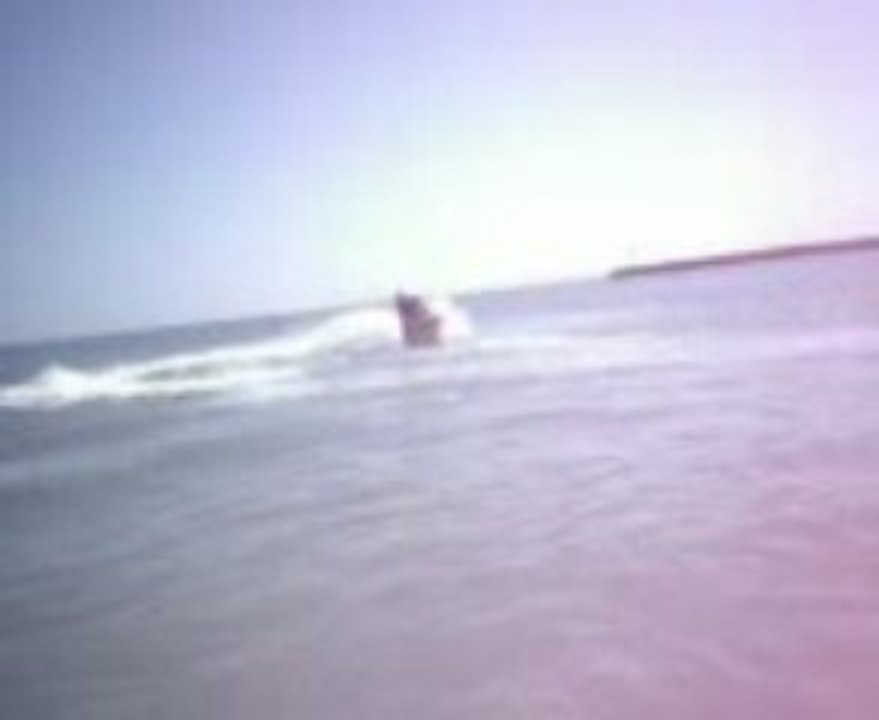 Jet Ski - Moto D'Acqua Freestyle In Tunisia