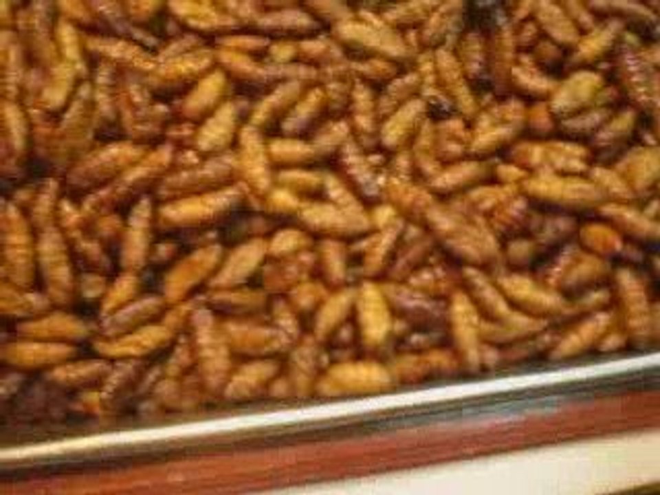 pattaya mise en bouche