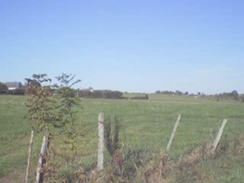 Massif du Sancy: Panoramique