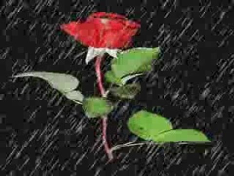 Dj Denizkizi Dj Derviş Love Melodi Bomba (2009)