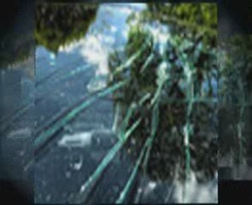 Roebuck SC Auto Glass Repair and Windshield Replacement