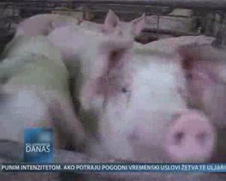 Poljoprivreda danas 02.10.2009.