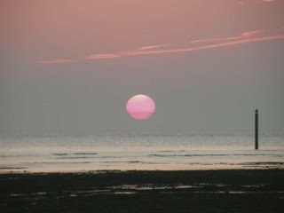 Couchant à Matha - 1er octobre 2009