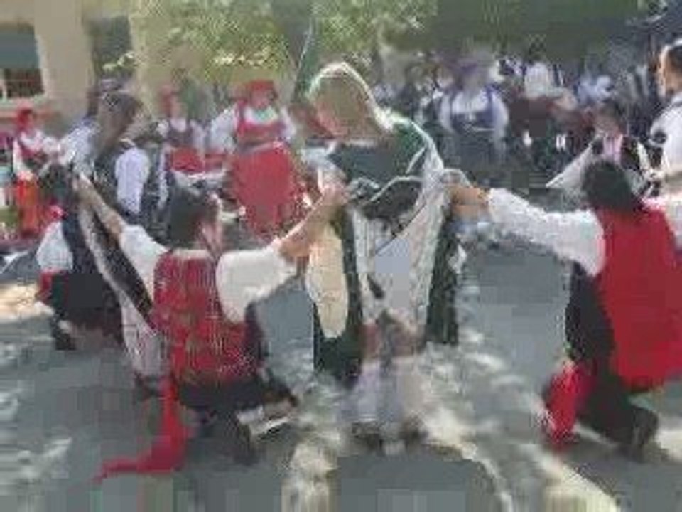 Alevanta Pom-Pom!!!