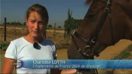 Une écurie de dressage (La Rabatellière)