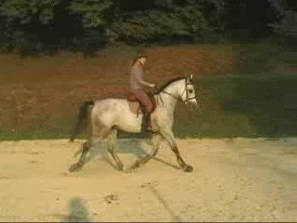 Ramses Bleu obstacle 1er octobre 2009