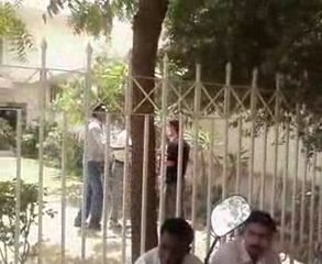 trying to get some monkey fOOd