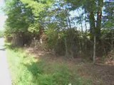 Buy Land In Louisa County, Land For Sale Louisa