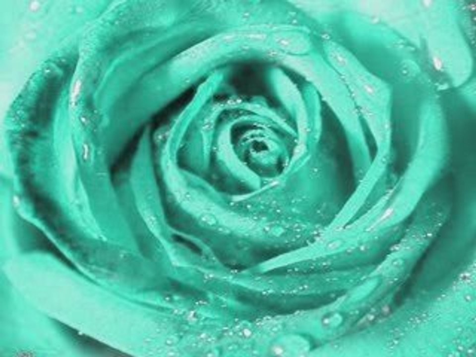 sertap erener bu böyle