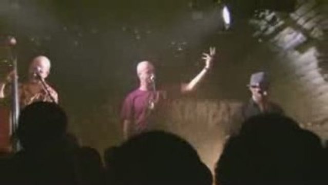 Karpatt - la mouche - au cylindre