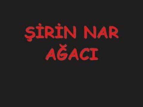 şirin nar ağacı