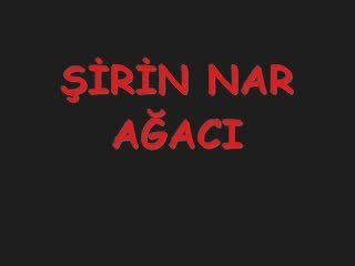 şirin nar ağacı